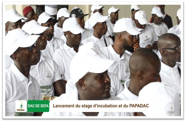 Sénégal/employabilité et formation des jeunes aux métiers agricoles : quand  le public et le privé se mettent à pied d'œuvre - AFRIK Management